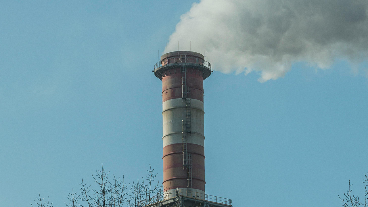 The Net Zero Myth: Carbon Markets Explained 